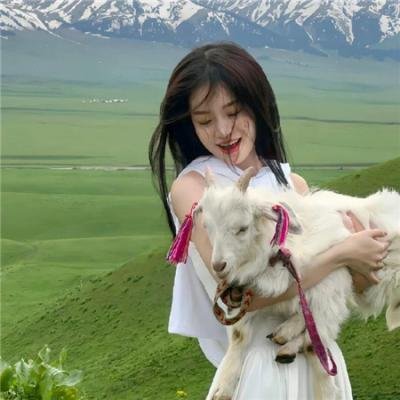 病娇驯养手册＆他的投喂指南